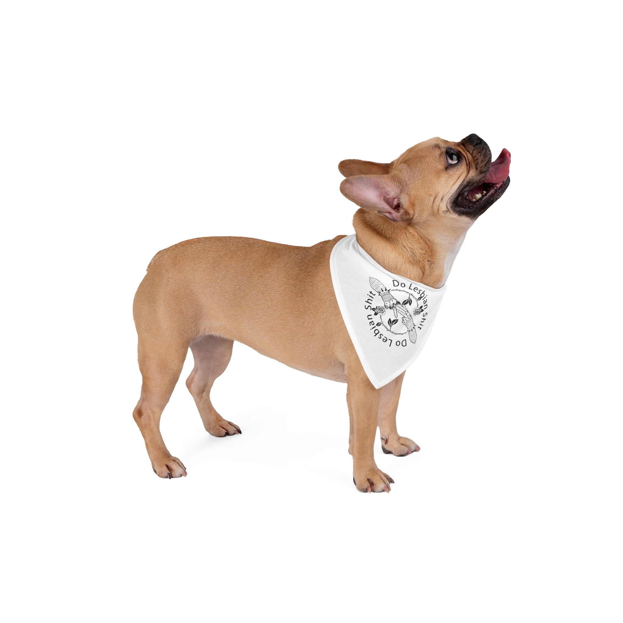 Do Lesbian Shit Pet Bandana